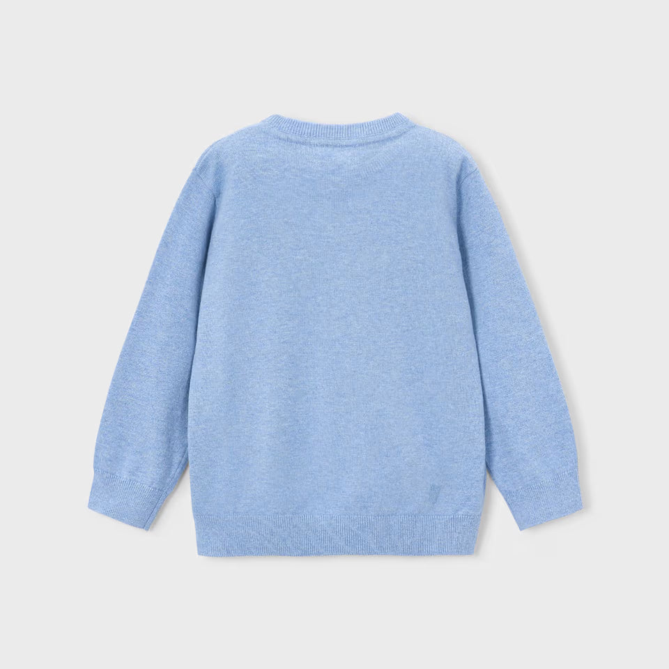 BOY CREWNECK SWEATER || VIVID RAIN