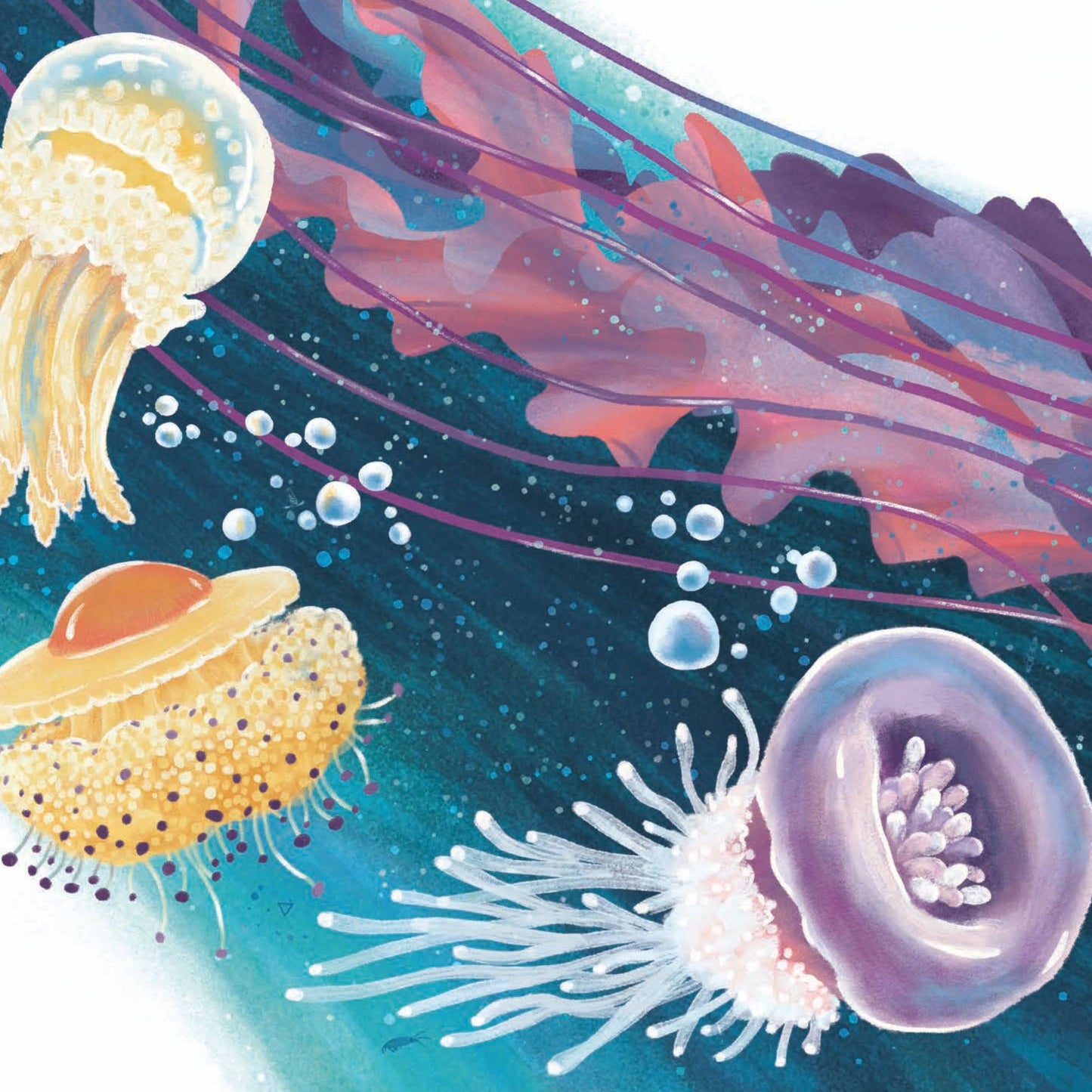 SECRETS OF THE JELLIES BOOK