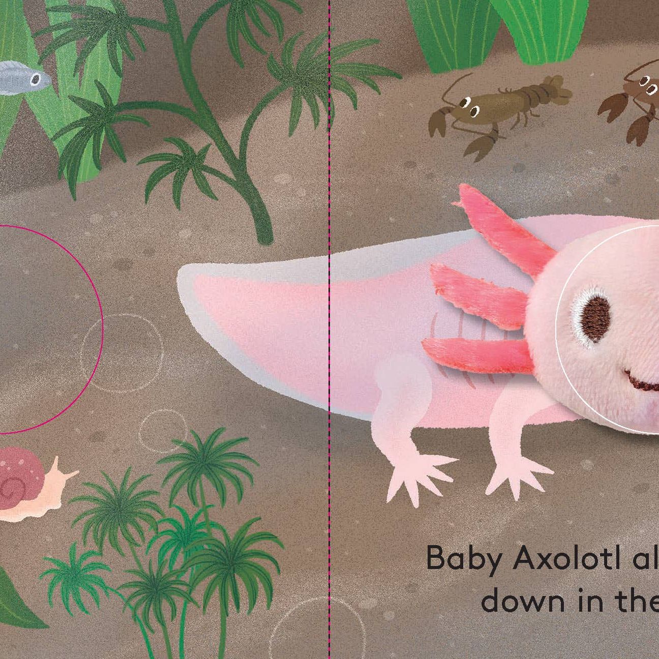 FINGER PUTTET BOOK || BABY AXOLOTL