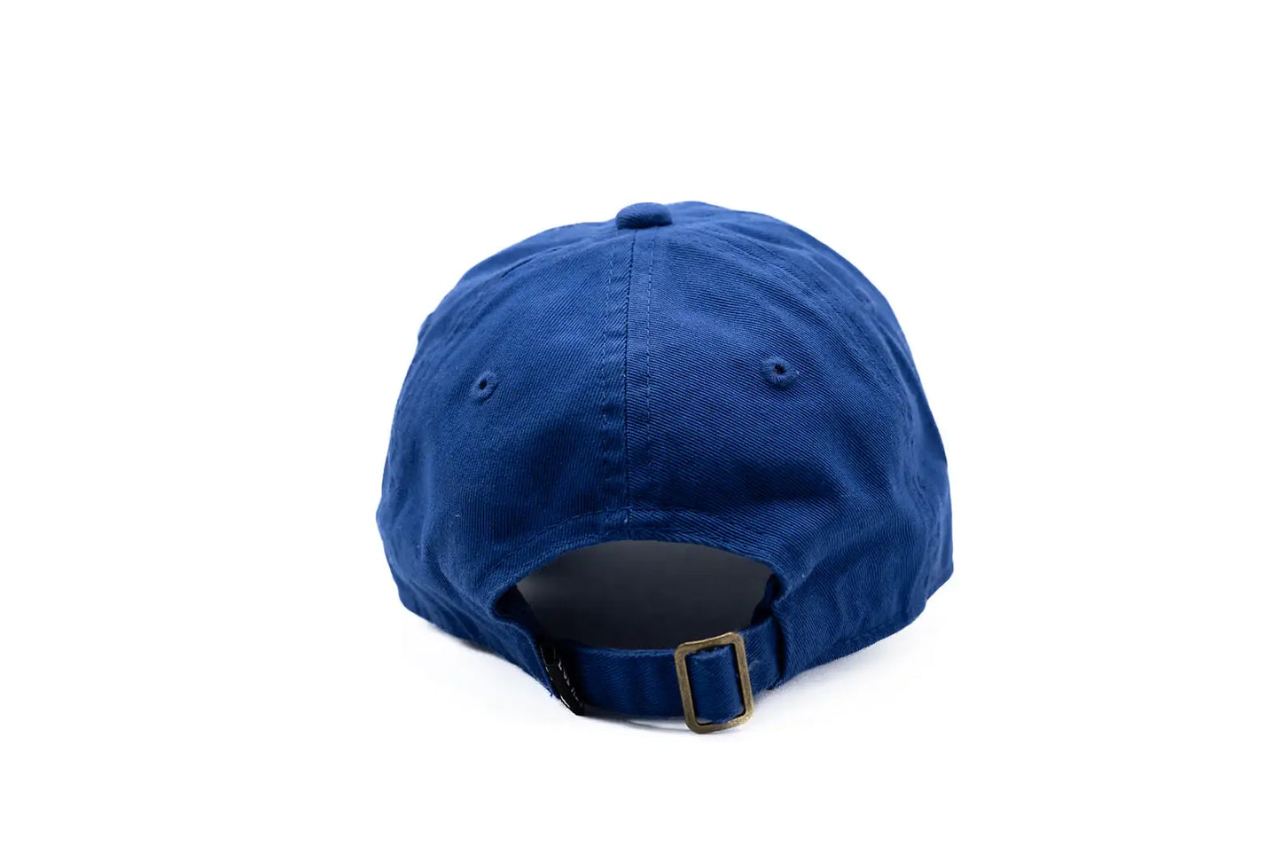 BIG BRO BASEBALL HAT || DUSTY SAGE