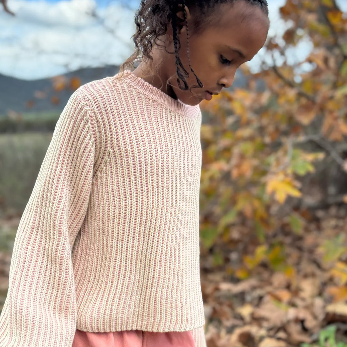 AUTUMN SWEATER || ROSE
