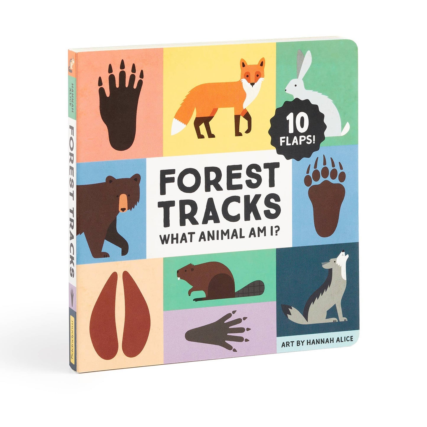 FOREST TRACKS || WHAT ANIMAL AM I?