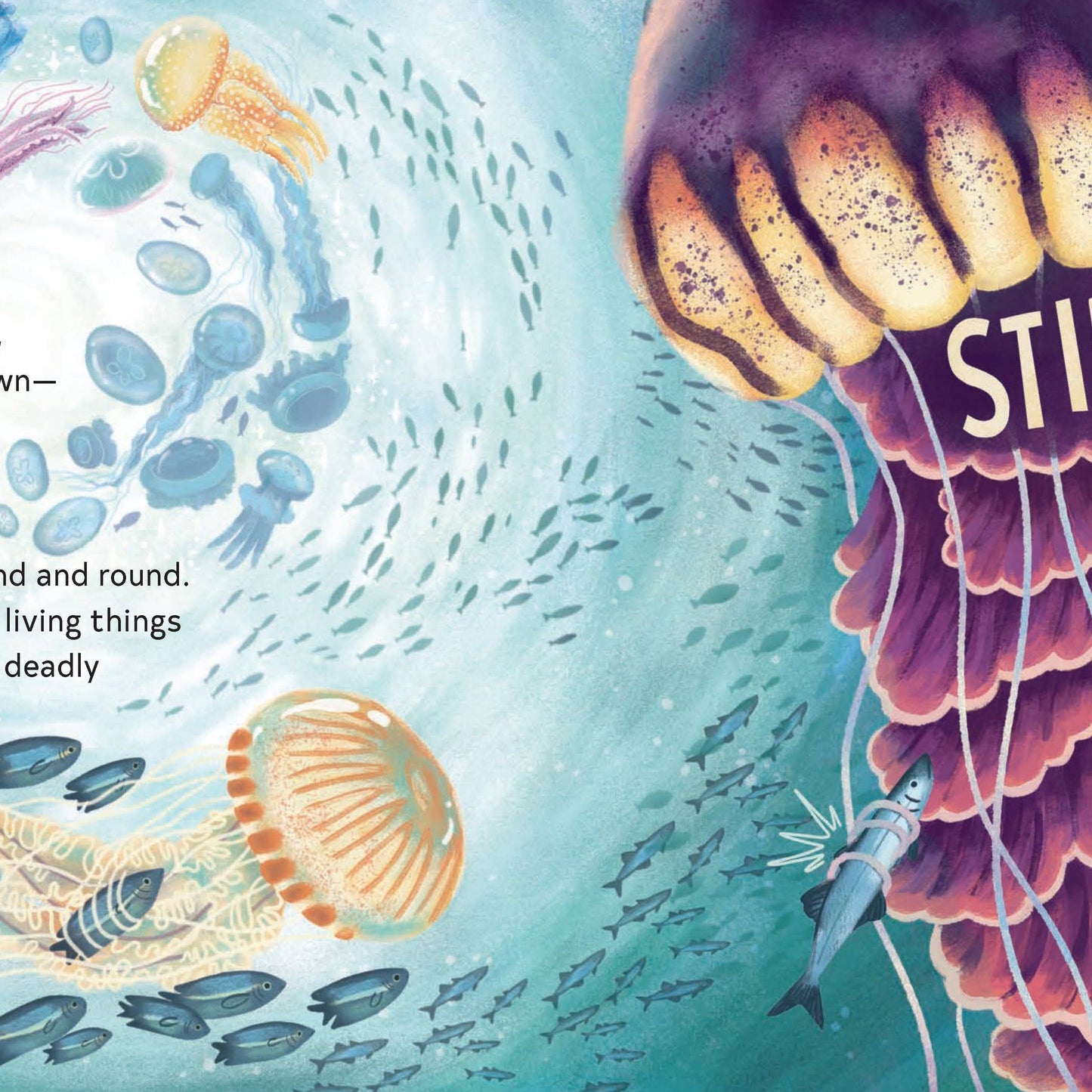 SECRETS OF THE JELLIES BOOK