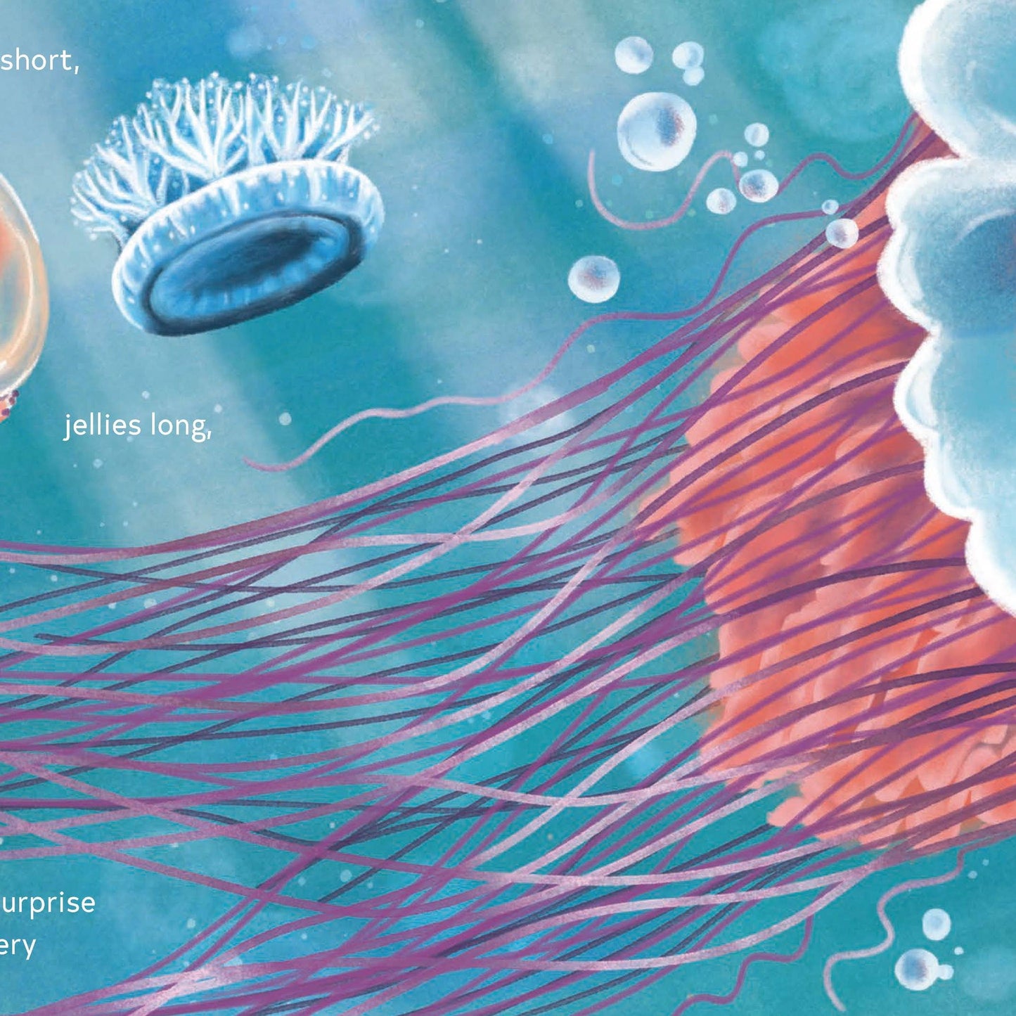 SECRETS OF THE JELLIES BOOK