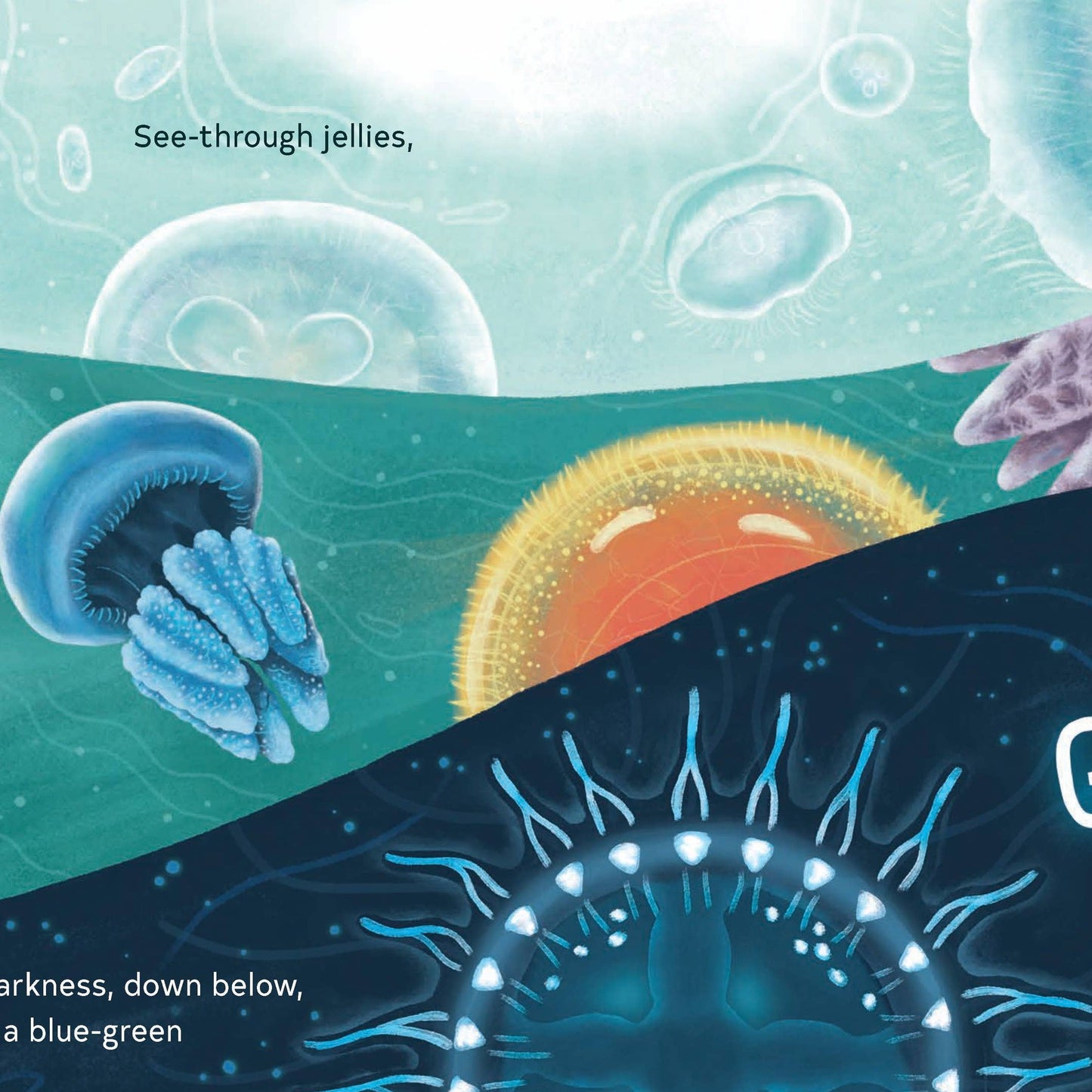 SECRETS OF THE JELLIES BOOK
