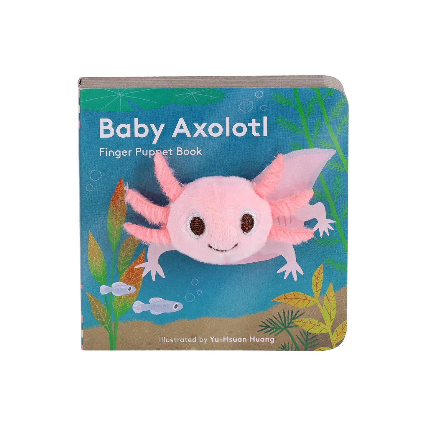 FINGER PUTTET BOOK || BABY AXOLOTL