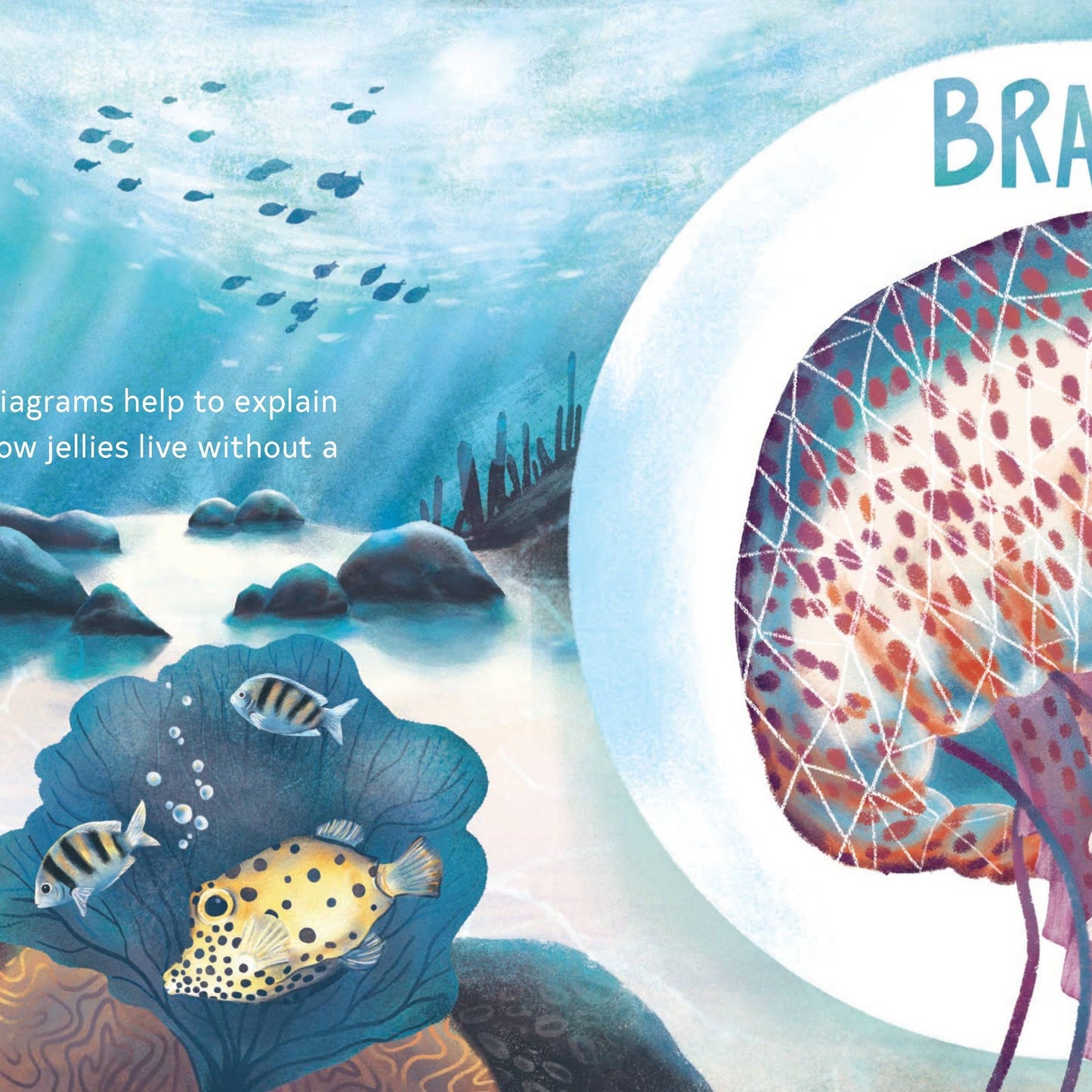 SECRETS OF THE JELLIES BOOK