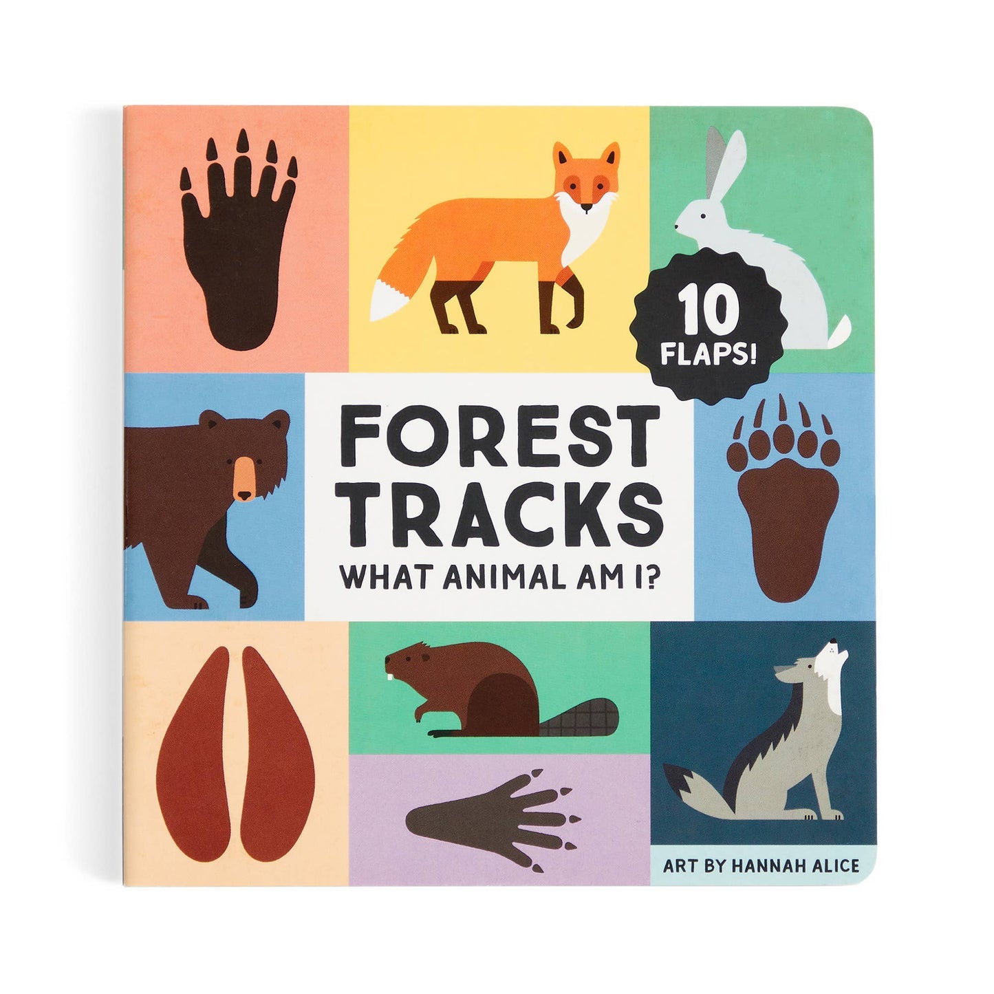FOREST TRACKS || WHAT ANIMAL AM I?
