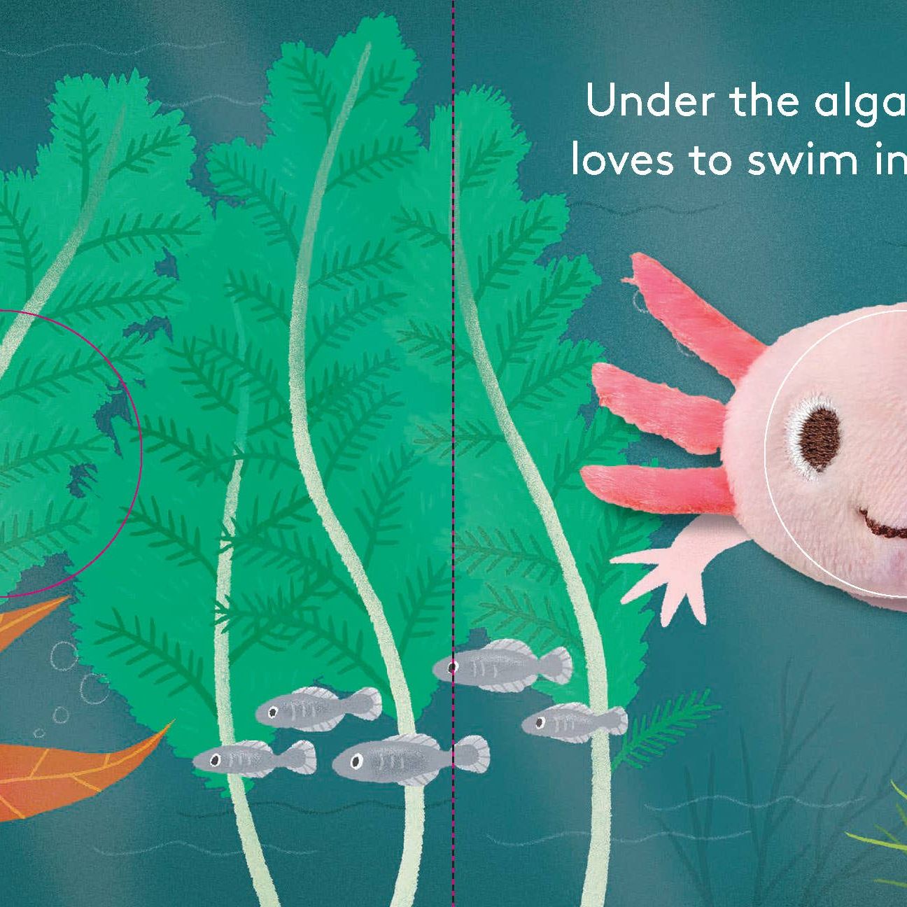 FINGER PUTTET BOOK || BABY AXOLOTL
