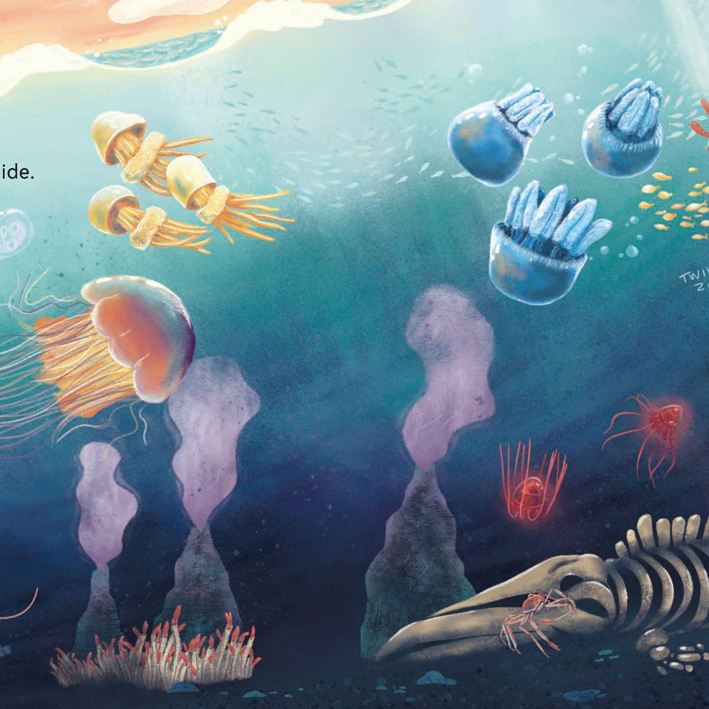 SECRETS OF THE JELLIES BOOK