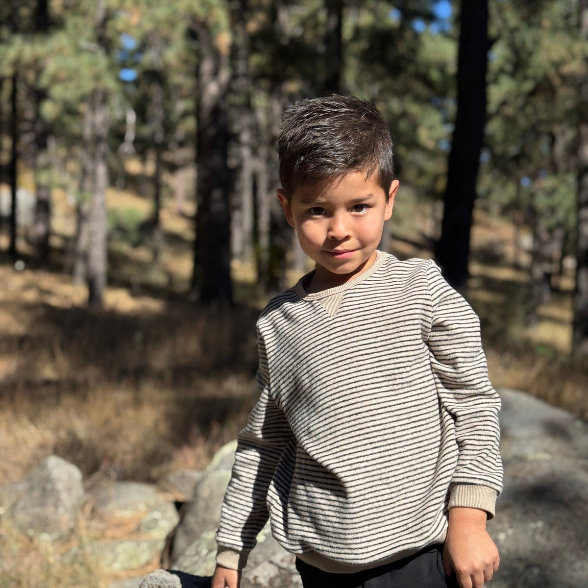 TARQUIN Black/Beige Brushed Stripe Sweater