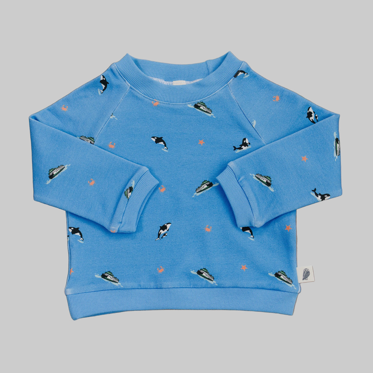 RAGLAN SWEATSHIRT || FERRIES + ORCAS