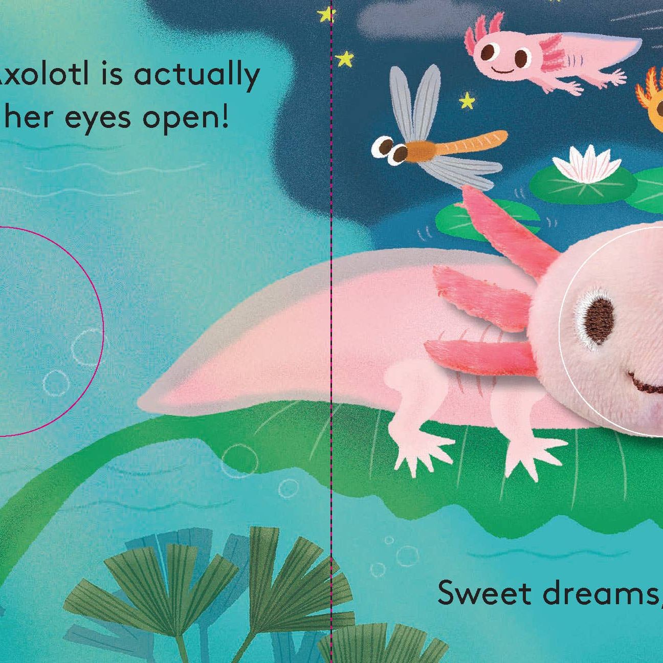 FINGER PUTTET BOOK || BABY AXOLOTL