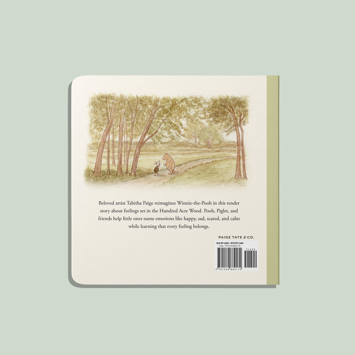 WINNIE-THE-POOH || FINDING FEELINGS