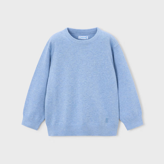 BOY CREWNECK SWEATER || VIVID RAIN