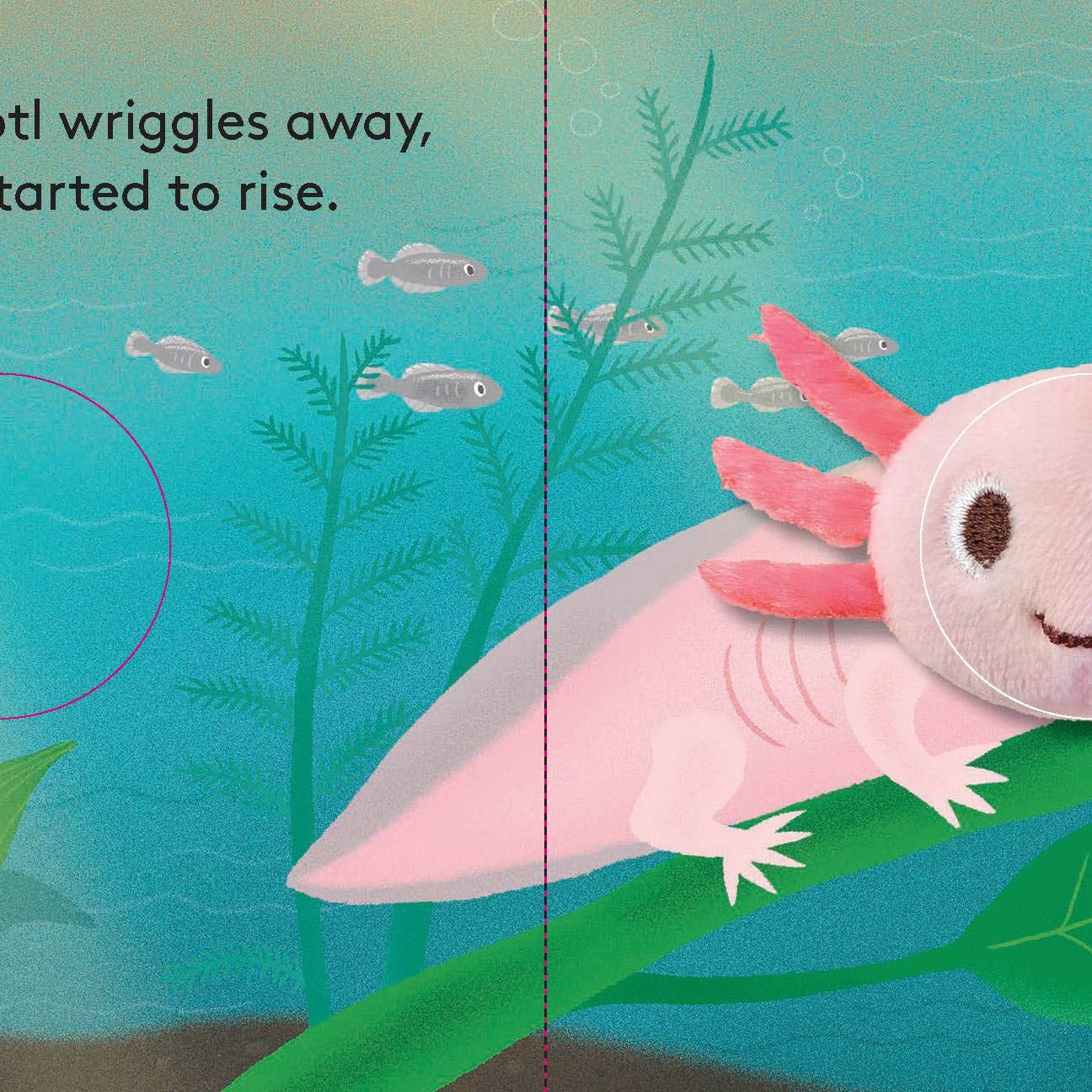 FINGER PUTTET BOOK || BABY AXOLOTL