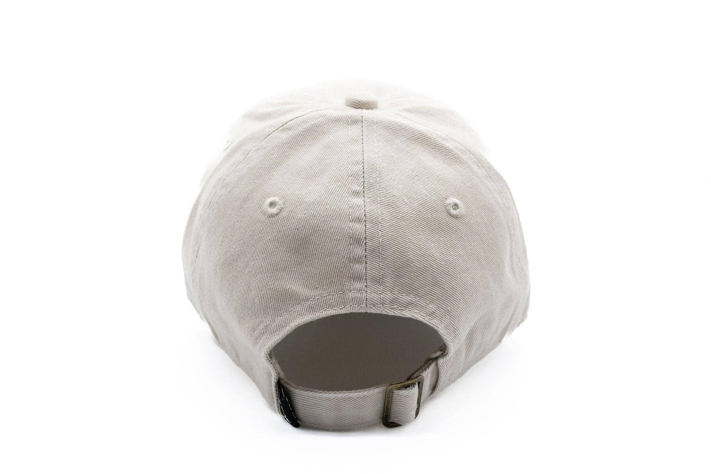BIG BRO BASEBALL HAT || DUSTY SAGE