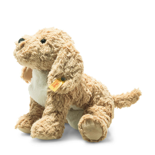 BERNO GOLDENDOODLE PUPPY || 10 IN