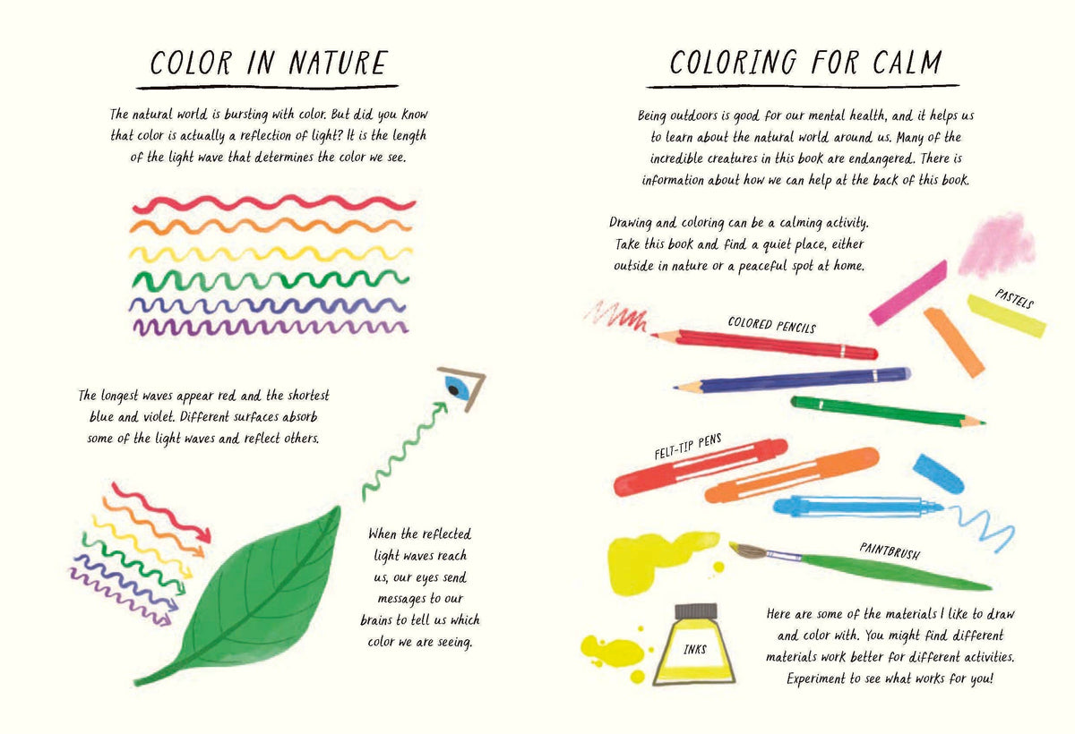 DRAWN BY NATURE || COLORS