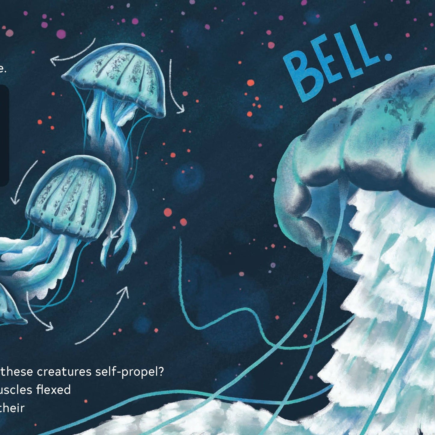 SECRETS OF THE JELLIES BOOK